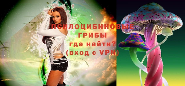 мескалин Няндома
