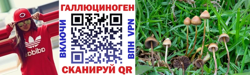 наркотики  кракен сайт  Галлюциногенные грибы MAGIC MUSHROOMS  Отрадное 
