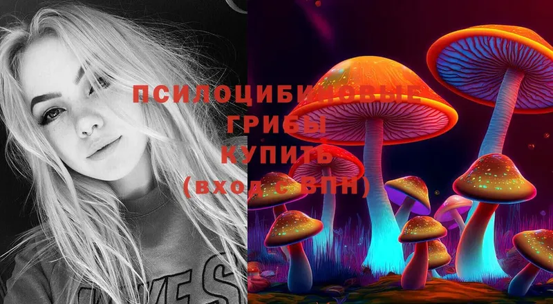 Псилоцибиновые грибы Psilocybine cubensis  Отрадное 