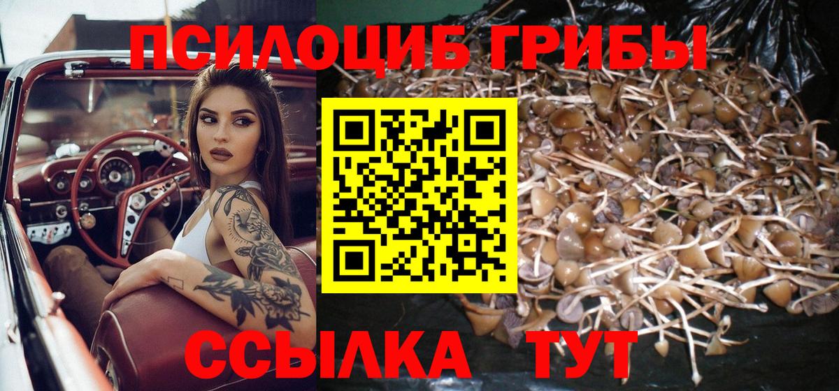 Отрадное  Галлюциногенные грибы ЛСД  где можно купить   Вход с VPN 
